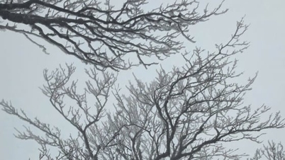 In Noord-Vietnam wordt zonnig weer verwacht, terwijl het in de berggebieden erg koud zal zijn, met temperaturen die op sommige plaatsen onder de 3 graden Celsius dalen.