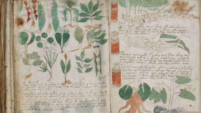 نیا کرپٹوگرافک طریقہ Voynich مخطوطہ کے اسرار کو ظاہر کرتا ہے۔