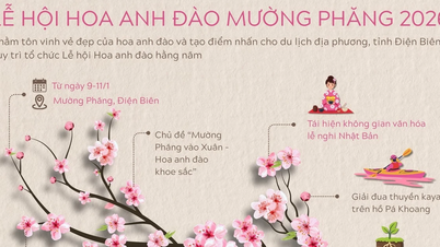 Lễ hội Hoa anh đào Mường Phăng 2026