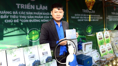 Young people in Kinh Bac region get rich from medicinal herbs in their home gardens.