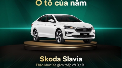 Skoda Slavia gana en los Car Awards 2025.