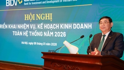 BIDV의 총자산은 3조 2500억 VND를 넘어섰으며, 2025년에는 36조 VND의 이익을 예상하고 있습니다.