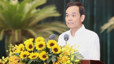 การประชุมคณะกรรมการพรรคประจำนครโฮจิมินห์ได้หารือเกี่ยวกับโครงการถนนข้ามทะเลคันจอ