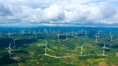 Kumpulan Trungnam menumpukan semua sumber untuk membangunkan kecekapan terasnya.