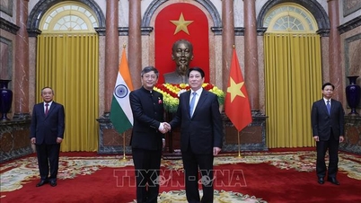 ベトナムとインド間の包括的戦略的パートナーシップをさらに発展させる。