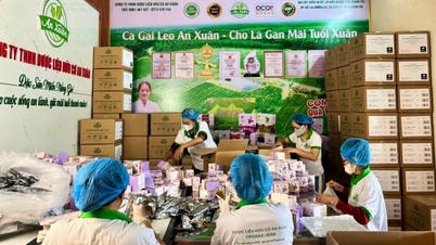 ផលិតផល OCOP លំដាប់ផ្កាយ ៥ របស់ខេត្តក្វាងទ្រី បាននាំចេញជាផ្លូវការទៅកាន់ទីផ្សារសហរដ្ឋអាមេរិក។