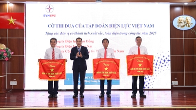 EVNSPC berjaya mengatasi kesukaran dan menyelesaikan tugasnya dengan cemerlang untuk tahun 2025.