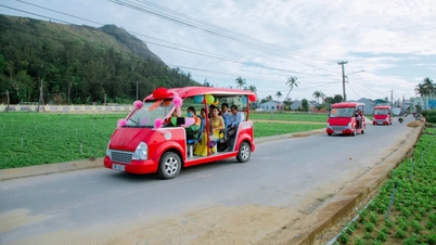 Quang Ngai : La circulation des véhicules motorisés à quatre roues transportant des passagers est interdite après minuit.