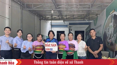 គម្រោងដែលបំភ្លឺអនាគតរបស់អតិថិជនខ្នាតតូច។