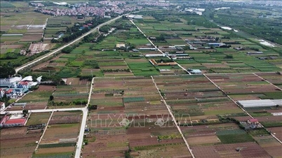 Ban hành Nghị quyết về đấu giá quyền sử dụng đất