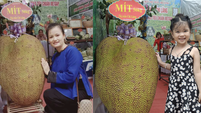 Phát hiện thêm trái mít nặng hơn mít khổng lồ vượt xa kỷ lục thế giới