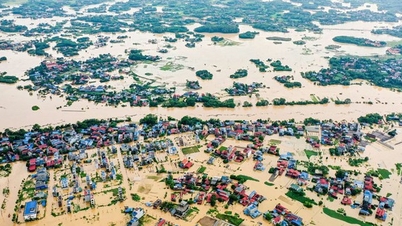 Inspections will be conducted on the implementation of local government at two levels and land-use projects in 16 provinces and cities.