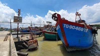 Businesses that violate IUU regulations will be excluded from VASEP.