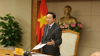 Vietnam has completed and submitted its report on combating IUU fishing to the European Commission.