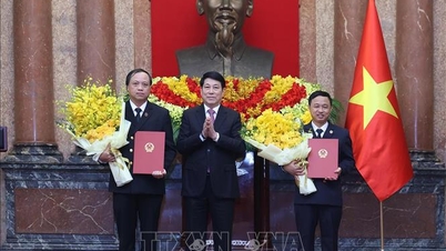 El presidente Luong Cuong presenta la decisión de nombramiento del Vicepresidente del Tribunal Popular Supremo.