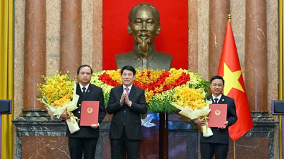 O presidente Luong Cuong apresenta a decisão de nomeação do vice-presidente do Supremo Tribunal Popular.