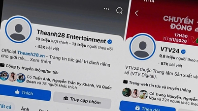 Meta se pronuncia sobre la pérdida de avatares de Facebook Vietnam, lo que genera confusión.