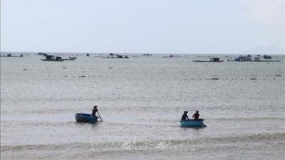 Η Khanh Hoa σχεδιάζει βιομηχανική ζώνη υδατοκαλλιέργειας.