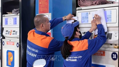 Ministerul Industriei și Comerțului anunță situația Fondului de Stabilizare a Prețurilor la Combustibili pentru trimestrul al treilea al anului 2025.