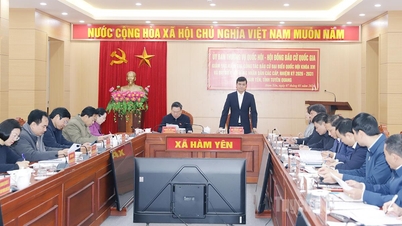 The Standing Committee of the National Assembly - National Election Committee supervises and inspects election work in Ham Yen commune.