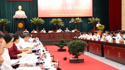 Ho Chi Minh-byens partikomités eksekutivkomité ble enstemmig enige om mange retningslinjer for byens utvikling.