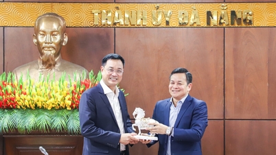 Группа компаний VSIP Vietnam проводит опросы и исследования для привлечения инвестиций в Дананг.