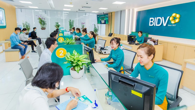 Ngân hàng có quy mô lớn nhất Việt Nam báo lãi trước thuế 36.000 tỉ đồng