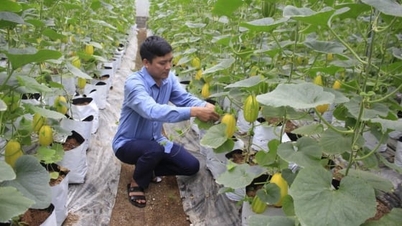 Lai Chau: Aiming for a budget revenue of 4,500 billion VND by 2030.