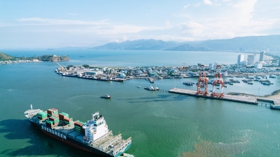Quy Nhon Port aims to achieve revenue of over 1,340 billion VND in 2026.