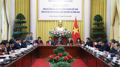 Announcement of the President's Order on the Law on Deposit Insurance