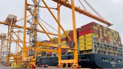 Container handling fees have increased at Lach Huyen and Cai Mep - Thi Vai ports.