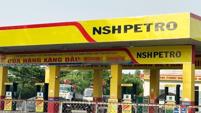 Nợ thuế 1.422 tỷ, đại gia xăng dầu bị đề nghị thu hồi giấy đăng ký kinh doanh