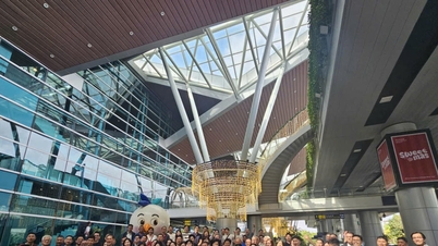 Da Nang lanza muchos incentivos nuevos para productos de turismo MICE.