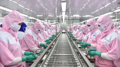 После достижения отметки в 11 миллиардов долларов экспорт морепродуктов сталкивается с трудностями в поддержании темпов роста.