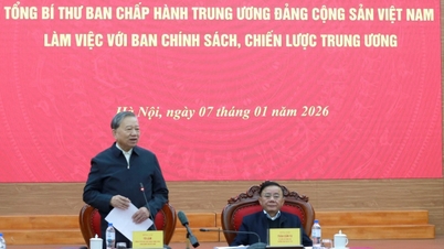 Drafting a resolution requires a long-term vision and high feasibility.
