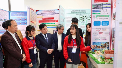 Cuộc thi khoa học kỹ thuật và ngày hội STEM - động lực đổi mới giáo dục tại Ninh Bình