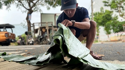 Mua lá chuối không hóa đơn, hộ kinh doanh cần làm gì khi kê khai thuế?