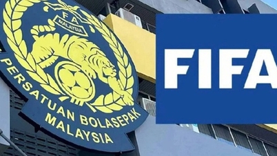 فدراسیون فوتبال در آشفتگی: فیفا و AFC ممکن است کنترل را به دست بگیرند، پلیس اتهامات کلاهبرداری را بررسی می‌کند.