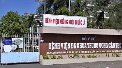 Một bệnh viện ở Cần Thơ thưởng 80 triệu đồng cho nhân viên dịp Tết