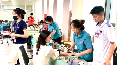 Efektivitas transformasi digital dalam kampanye donor darah sukarela.