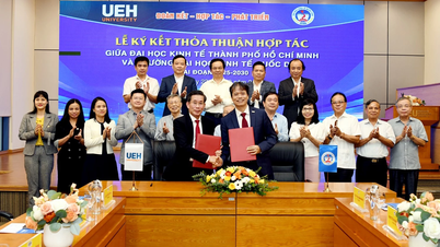 Kluczowe działania Uniwersytetu Ekonomicznego w Ho Chi Minh City i Narodowego Uniwersytetu Ekonomicznego w Khanh Hoa: Łączenie naukowców, dzielenie się wiedzą między dwoma wiodącymi uniwersytetami w Wietnamie.
