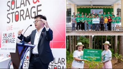 Asia Clean Capital Vietnam: Sürdürülebilir enerji dönüşümü yolculuğunuzda güvenilir bir ortak.