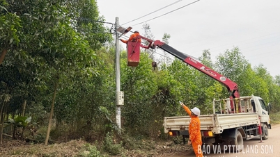 La société Lang Son Power a soutenu l'installation de 64 lampadaires dans le cadre du programme « Éclairage des routes de village » pour deux communes.