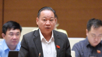 Commissioner Trang A Duong, working full-time at the National Assembly's Ethnic Affairs Committee, affirms the crucial role of the National Assembly in building a rule-of-law state.