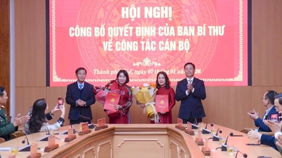Pengumuman keputusan Sekretariat mengenai Ketua Komite Inspeksi Komite Partai Kota Hue dan Komite Partai Provinsi Quang Tri.
