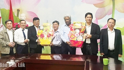 Indiai külföldi működőtőke-vállalatok látogatása és gratulációja Vietnam és India közötti diplomáciai kapcsolatok felvételének 54. évfordulója alkalmából.