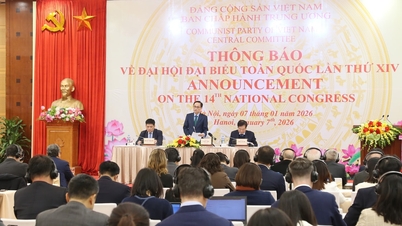 외교부는 베트남 주재 외교 공관 및 국제기구에 당 제14차 전국대회에 대한 정보를 제공합니다.