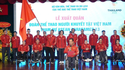 Tăng chế độ dành cho huấn luyện viên, vận động viên các đội tuyển được tập trung tập huấn, thi đấu