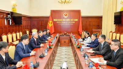 Deputy Governor Nguyen Ngoc Canh receives the delegation from the Bank of Korea.