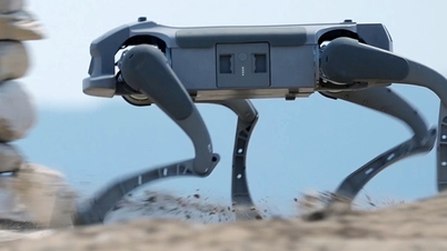 Doanh nghiệp robot Mỹ chọn TP Hồ Chí Minh làm cứ điểm sản xuất chiến lược